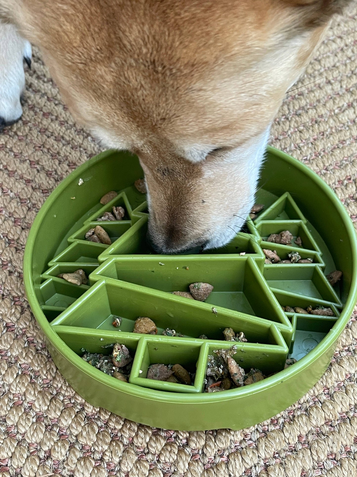 Pine Tree Design eBowl Enrichment Slow Feeder Bowl for Dogs