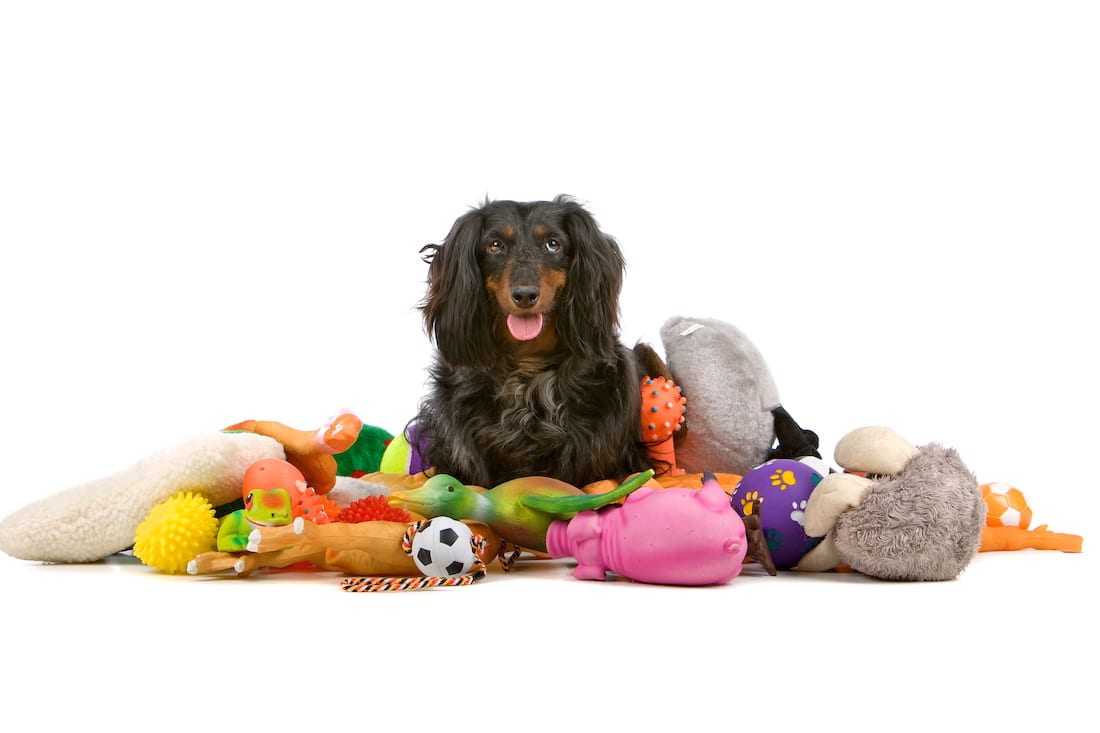 Toy enrichment blog