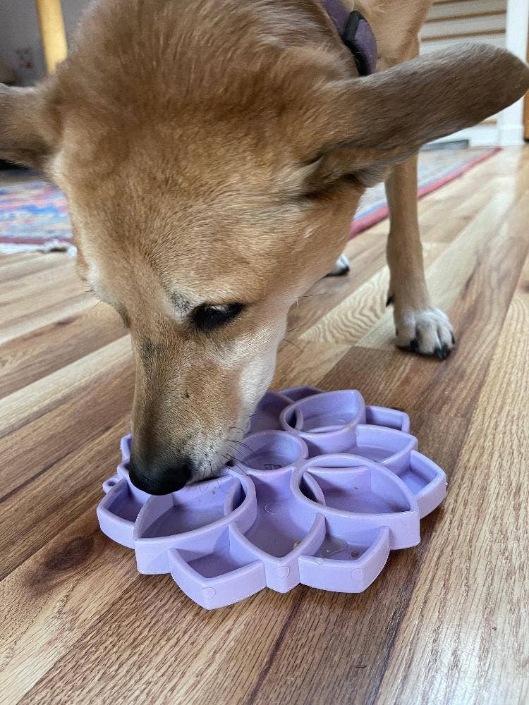 Mandala "Softie" eTray Enrichment Tray for Dogs