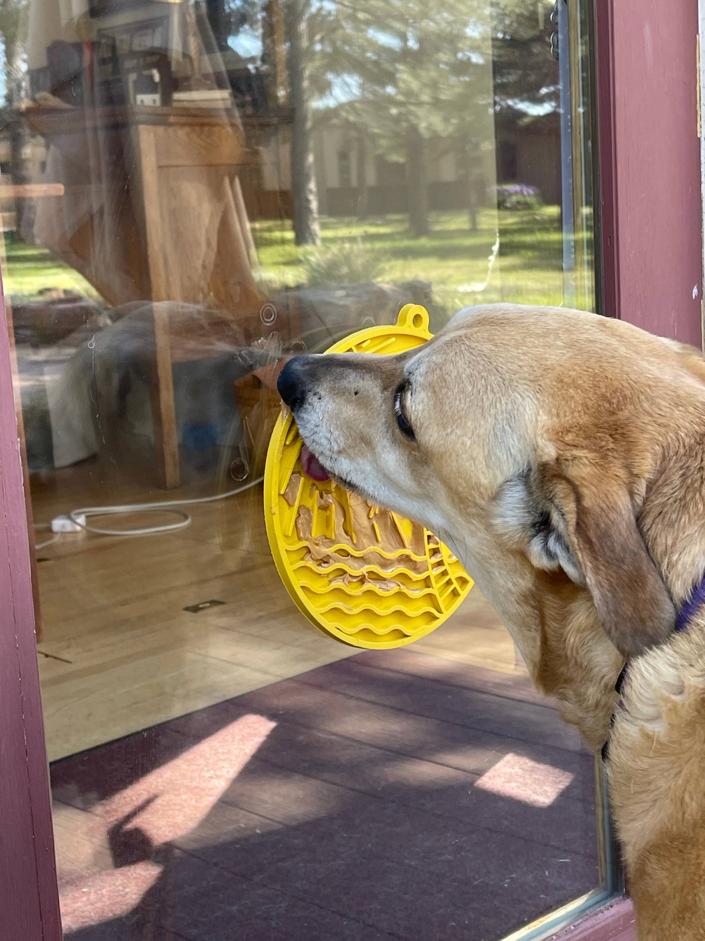 Sun n' Sea eMat Enrichment Lick Mat With Suction Cups