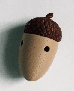 Acorn Vessel