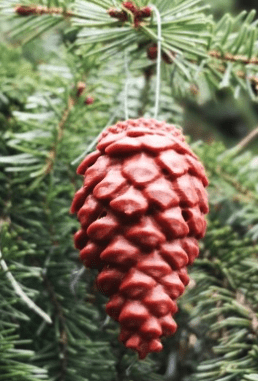 Pinecone Vessel