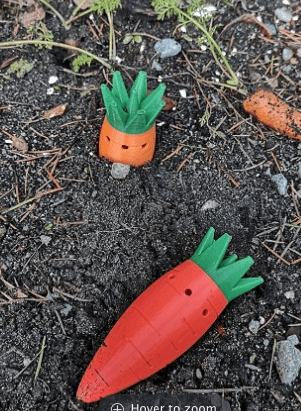 Carrot Vessel