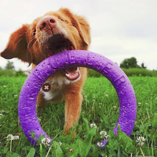 Maxi Puller - Dog Agility Training Fetch Ring