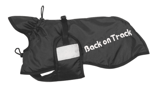 Back on Track Dog Rug