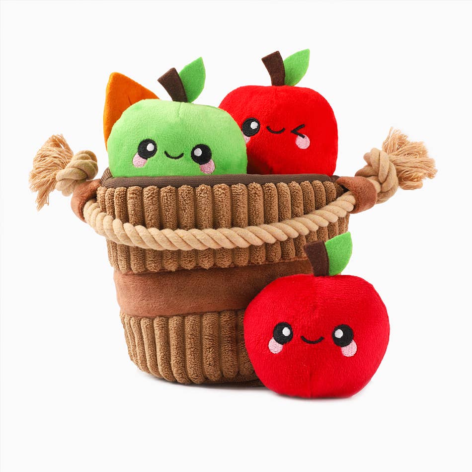 HugSmart Pet - Autumn Tailz | Apple Basket